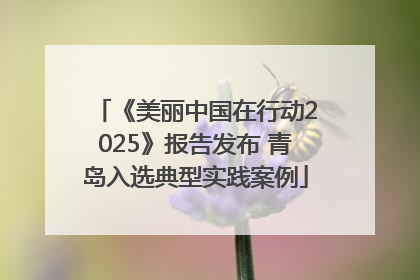 《美丽中国在行动2025》报告发布 青岛入选典型实践案例