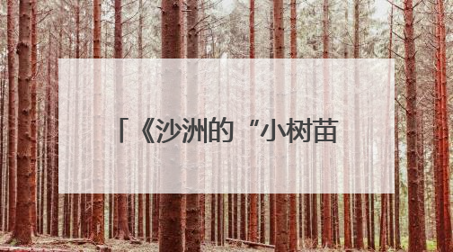 《沙洲的“小树苗”》：新时代中国少年的成长缩影