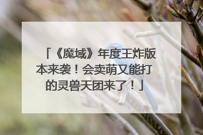《魔域》年度王炸版本来袭！会卖萌又能打的灵兽天团来了！