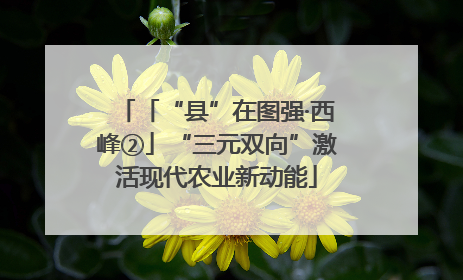 「“县”在图强·西峰②」“三元双向”激活现代农业新动能