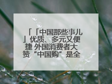 「中国那些事儿」优质、多元又便捷 外国消费者大赞“中国购”是全新体验！