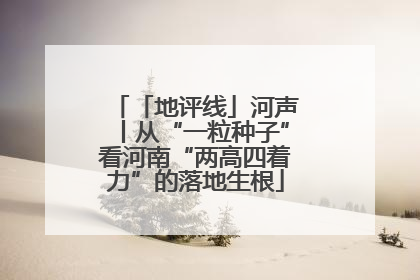 「地评线」河声丨从“一粒种子”看河南“两高四着力”的落地生根