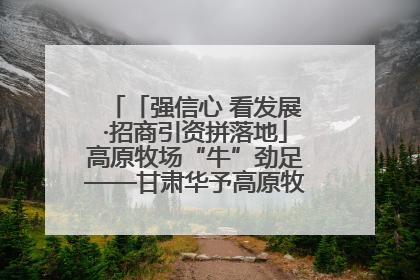 「强信心 看发展·招商引资拼落地」高原牧场“牛”劲足——甘肃华予高原牧场高标准奶牛肉牛养殖项目一线见闻