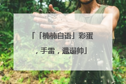 「楠楠自语」彩蛋，手雷，邋遢帅