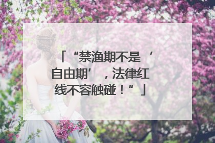 “禁渔期不是‘自由期’，法律红线不容触碰！”