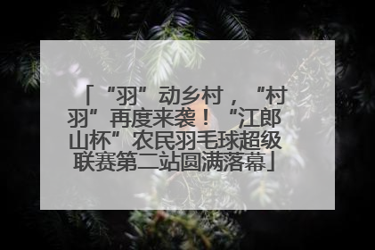 “羽”动乡村，“村羽”再度来袭！“江郎山杯”农民羽毛球超级联赛第二站圆满落幕