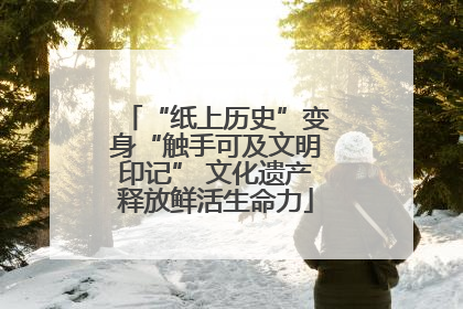 “纸上历史”变身“触手可及文明印记” 文化遗产释放鲜活生命力