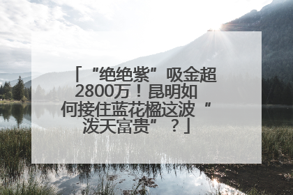 “绝绝紫”吸金超2800万！昆明如何接住蓝花楹这波“泼天富贵”？