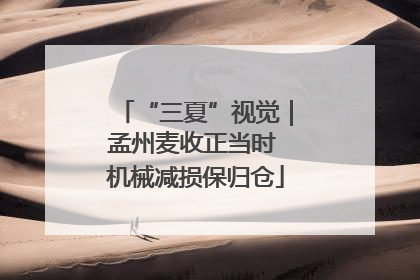 “三夏”视觉｜孟州麦收正当时 机械减损保归仓