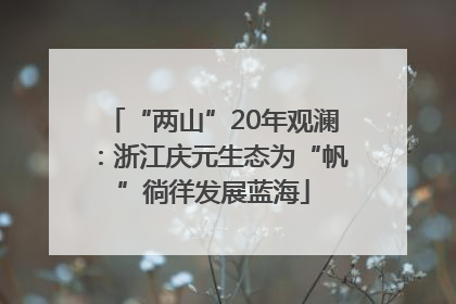 “两山”20年观澜：浙江庆元生态为“帆”徜徉发展蓝海