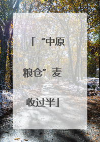 “中原粮仓”麦收过半