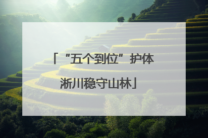 “五个到位”护体 淅川稳守山林