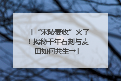 “宋陵麦收”火了！揭秘千年石刻与麦田如何共生→