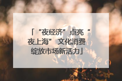 “夜经济”点亮“夜上海” 文化消费绽放市场新活力