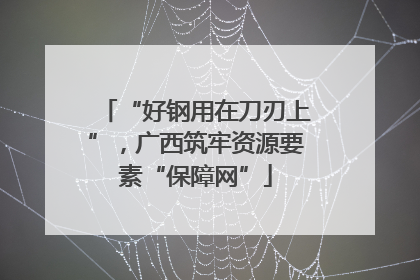 “好钢用在刀刃上”，广西筑牢资源要素“保障网”