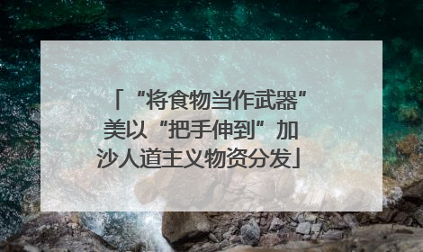 “将食物当作武器” 美以“把手伸到”加沙人道主义物资分发
