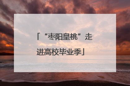 “枣阳皇桃”走进高校毕业季