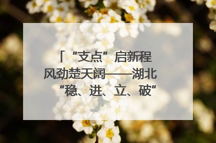 “支点”启新程 风劲楚天阔——湖北“稳、进、立、破”谱写“荆”彩篇章