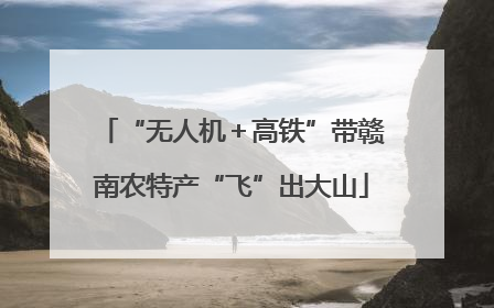 “无人机＋高铁”带赣南农特产“飞”出大山