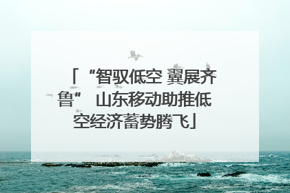 “智驭低空 翼展齐鲁” 山东移动助推低空经济蓄势腾飞