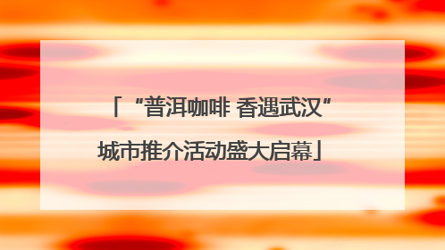 “普洱咖啡 香遇武汉”城市推介活动盛大启幕