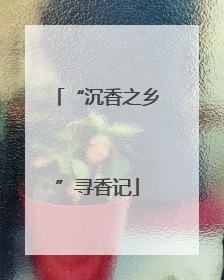 “沉香之乡”寻香记