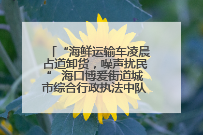 “海鲜运输车凌晨占道卸货，噪声扰民” 海口博爱街道城市综合行政执法中队：将联合交警加强长堤路一带巡逻