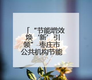 “节能增效 焕‘新’引领” 枣庄市公共机构节能宣传周现场活动精彩纷呈