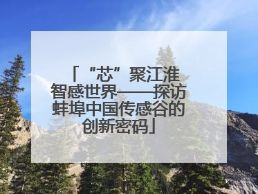 “芯”聚江淮 智感世界——探访蚌埠中国传感谷的创新密码