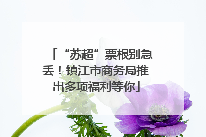 “苏超”票根别急丢！镇江市商务局推出多项福利等你