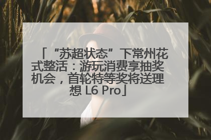 “苏超状态”下常州花式整活：游玩消费享抽奖机会，首轮特等奖将送理想 L6 Pro