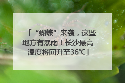 “蝴蝶”来袭，这些地方有暴雨！长沙最高温度将回升至36℃
