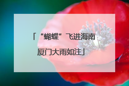 “蝴蝶”飞进海南 厦门大雨如注