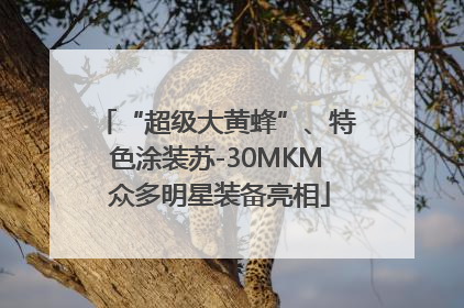 “超级大黄蜂”、特色涂装苏-30MKM 众多明星装备亮相