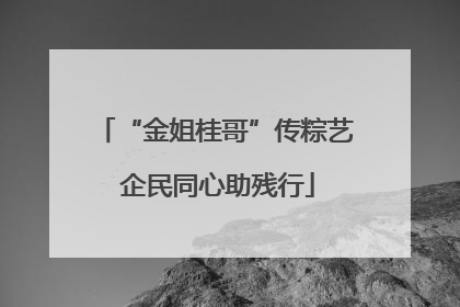 “金姐桂哥”传粽艺 企民同心助残行