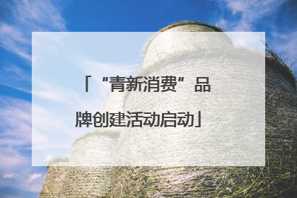 “青新消费”品牌创建活动启动