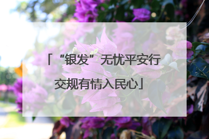 “银发”无忧平安行 交规有情入民心