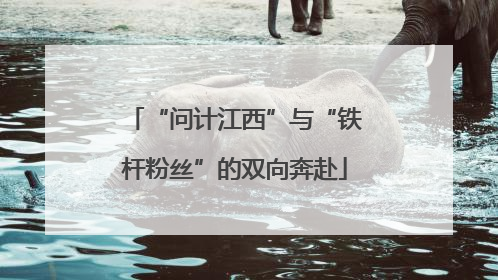 “问计江西”与“铁杆粉丝”的双向奔赴