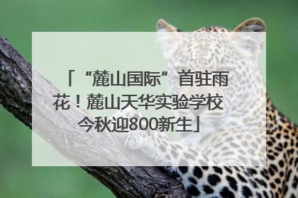 “麓山国际”首驻雨花！麓山天华实验学校今秋迎800新生