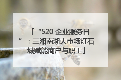 “520 企业服务日”：三湘南湖大市场灯石城赋能商户与职工