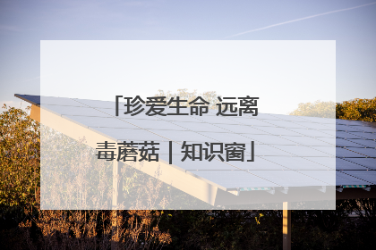 珍爱生命 远离毒蘑菇｜知识窗