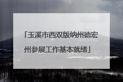 玉溪市西双版纳州德宏州参展工作基本就绪