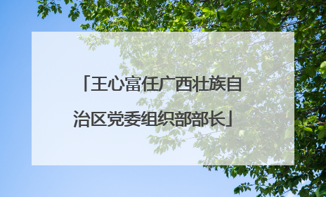 王心富任广西壮族自治区党委组织部部长