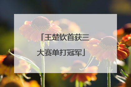 王楚钦首获三大赛单打冠军