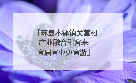 环县木钵镇关营村 产业融合引客来 宜居宜业更宜游