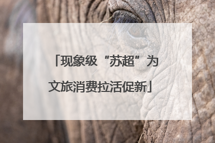 现象级“苏超”为文旅消费拉活促新