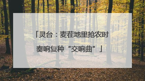灵台：麦茬地里抢农时 奏响复种“交响曲”