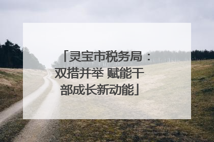 灵宝市税务局：双措并举 赋能干部成长新动能