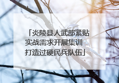 炎陵县人武部紧贴实战需求开展集训 打造过硬民兵队伍