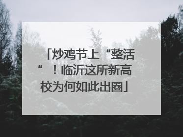 炒鸡节上“整活”！临沂这所新高校为何如此出圈
